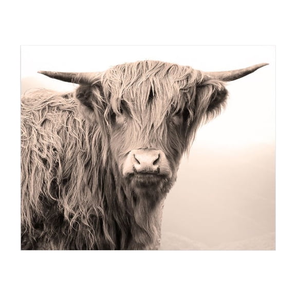 Highland Cow Wall Art - 8 x 10 Unframed Prints Travel Poster for Home Decor