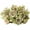 Green, variant on Sunsanly 1 Bunch Artificial Flowers, Fake Peony Silk Hydrangea Bouquet Decor Plastic Carnations Realistic Flower Arrangements Wedding Decoration Table Centerpieces