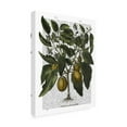 thumbnail image 2 of Trademark Fine Art 'Peppers 6' Canvas Art by Fab Funky, 2 of 3