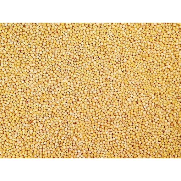 Organic Hulled Millet