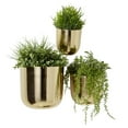thumbnail image 6 of DecMode 9", 7", 6"H Round Gold Metal Floating Wall Planter (3 Count), 6 of 12