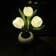 thumbnail image 5 of Lámpara Flor LED Luz de noche Simulación Tulipán Maceta Planta en maceta Decoración de la habitación del hogar Tmvgtek Para estrenar, 5 of 9