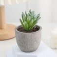 thumbnail image 4 of Artificial Potted Plants, Fake Plastic Plants with White Pots, Small Flower Arrangement for Home Office Table Decor, 4 of 6