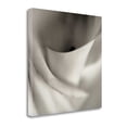thumbnail image 2 of Tangletown Fine Art 'Florison - 44' Graphic Art Print on Wrapped Canvas, 2 of 2