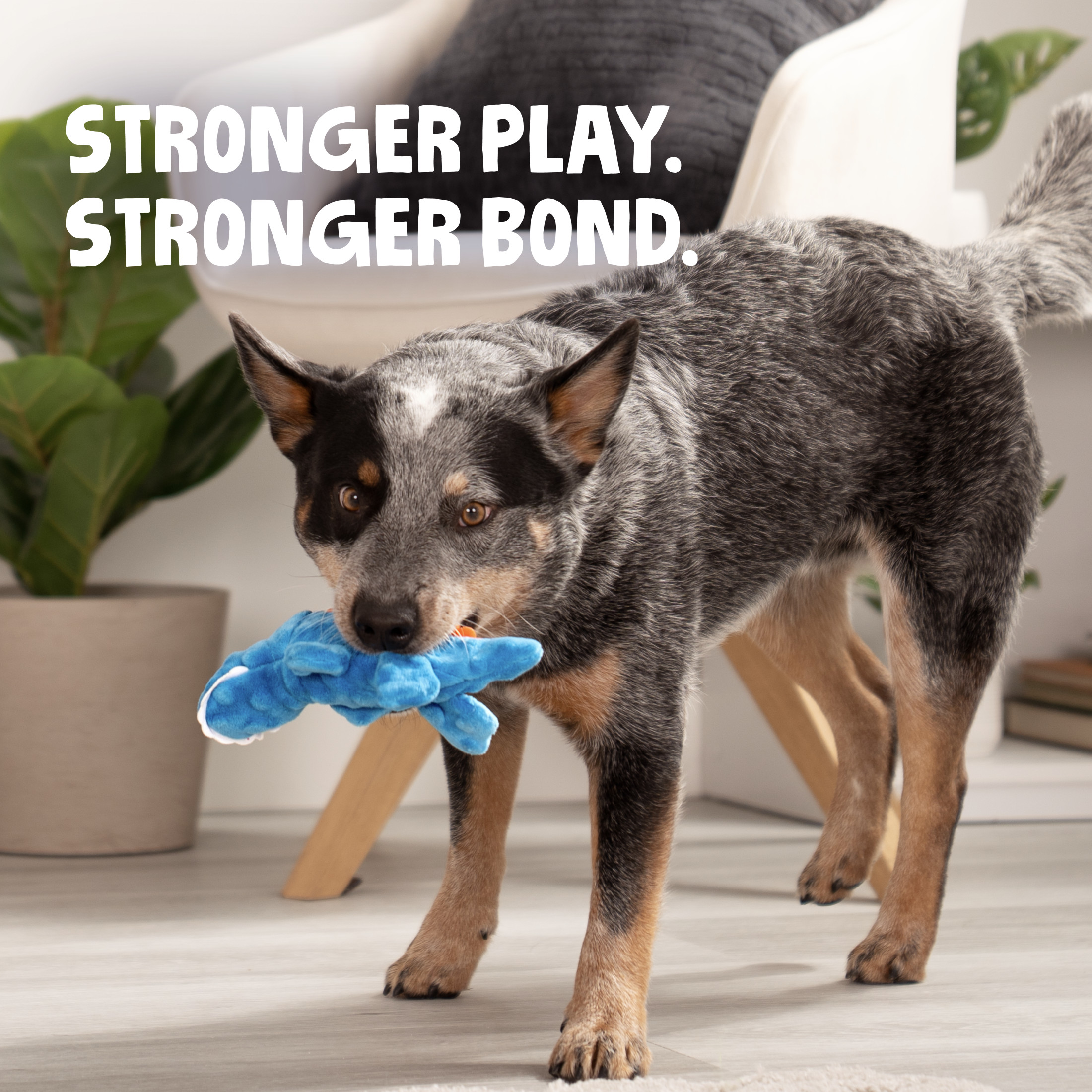 goDog Just For Me Gators Squeaky Plush Toy, Mini, Blue photo 2