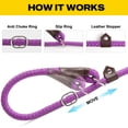 thumbnail image 4 of Correa para perro Slip Lead Fida Durable de 1,8 m x 1,3 cm, color morado, 4 of 7