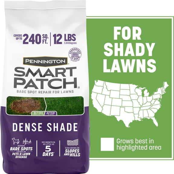 Pennington Smart Patch Dense Shade Grass Seed Mix, for Medium to Heavy Shade