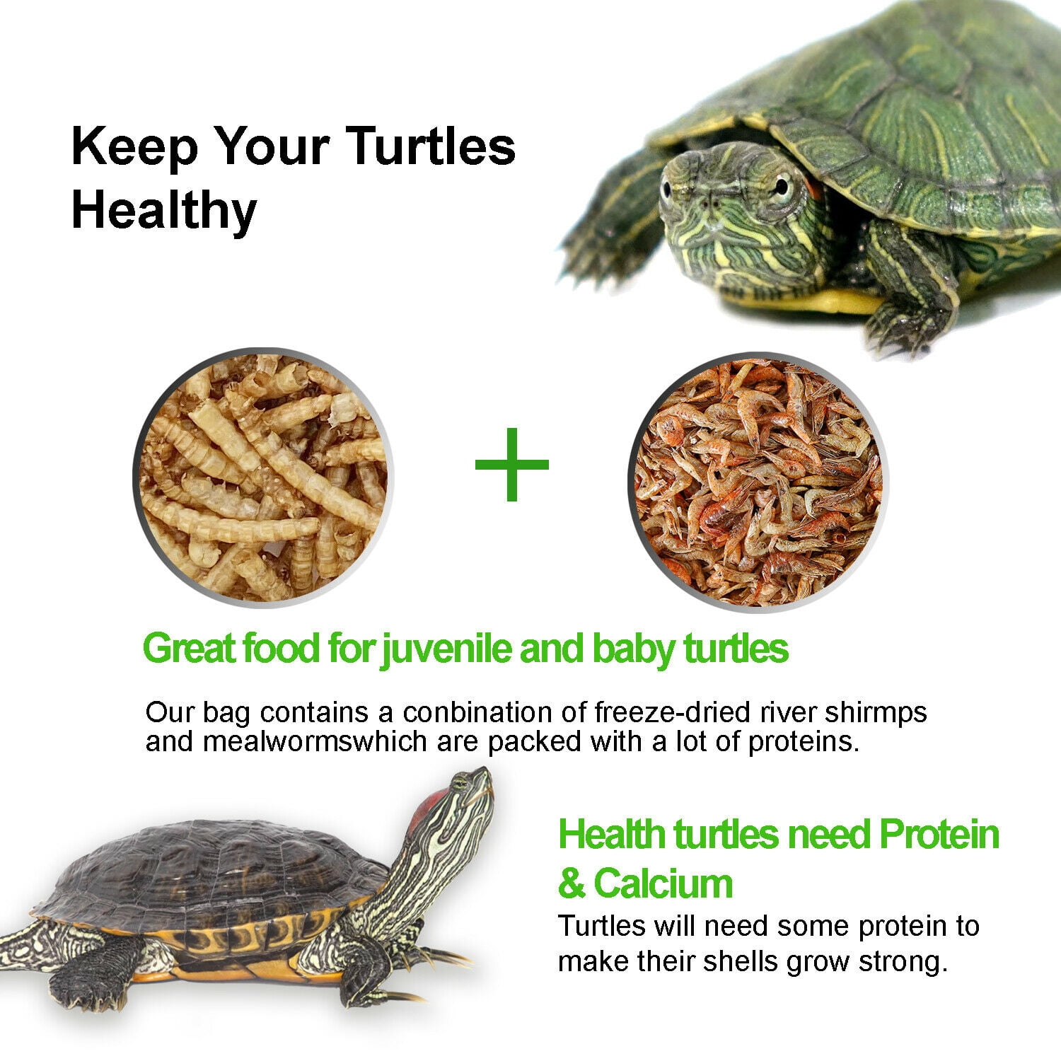 Amzey 2 Pack 1 LB Shrimp & Mealworms, 100% Non-GMO, Wild Bird Food, Chicken Feed, Fish Food, Reptiles Food, 2 lbs Total