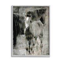 Vintage Foal Horse Farmland Animals & Insects Graphic Art Gray Framed Art Print Wall Art
