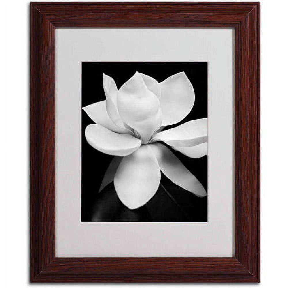 Matted art under acrylic in a wood frame