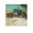Unframe-style, variant on Dutch Painter Vincent Van Gogh Caravans, Gypsy Camp Near Arles Poster Canvas Art Poster and Wall Art Picture Print Modern Family bedroom Decor Posters 16x16inch(40x40cm)