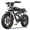 Black, variant on UL2849 Electric Bike for Adults, 750W Motor, 20"x4" Fat Tire,48V/17.5AH