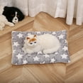 thumbnail image 1 of Cozy Calming Cat Blanket, Calming Blanket for Cats,Cozy Cat Calming Blanket,Cozy Calming Pet Blanket for Anxiety and Stress,Cozy Ultra Soft Pet Bed Mat(g,XL), 1 of 7