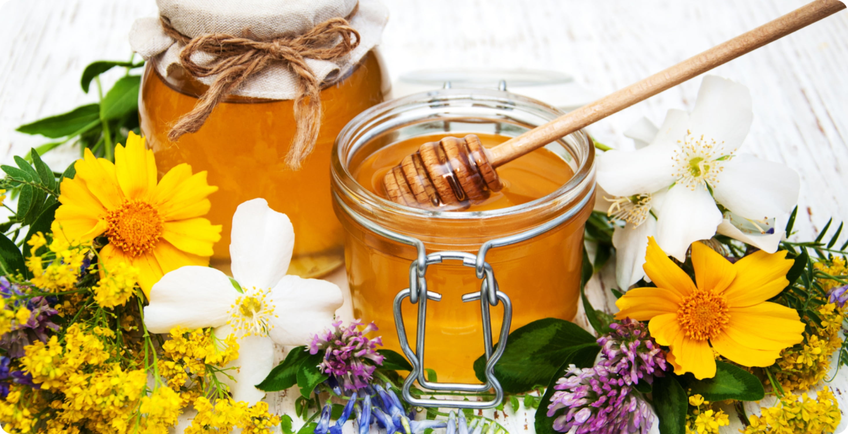 Japanese Native Honeybee Raw Honey – 100% Pure Unheated - Kurumira