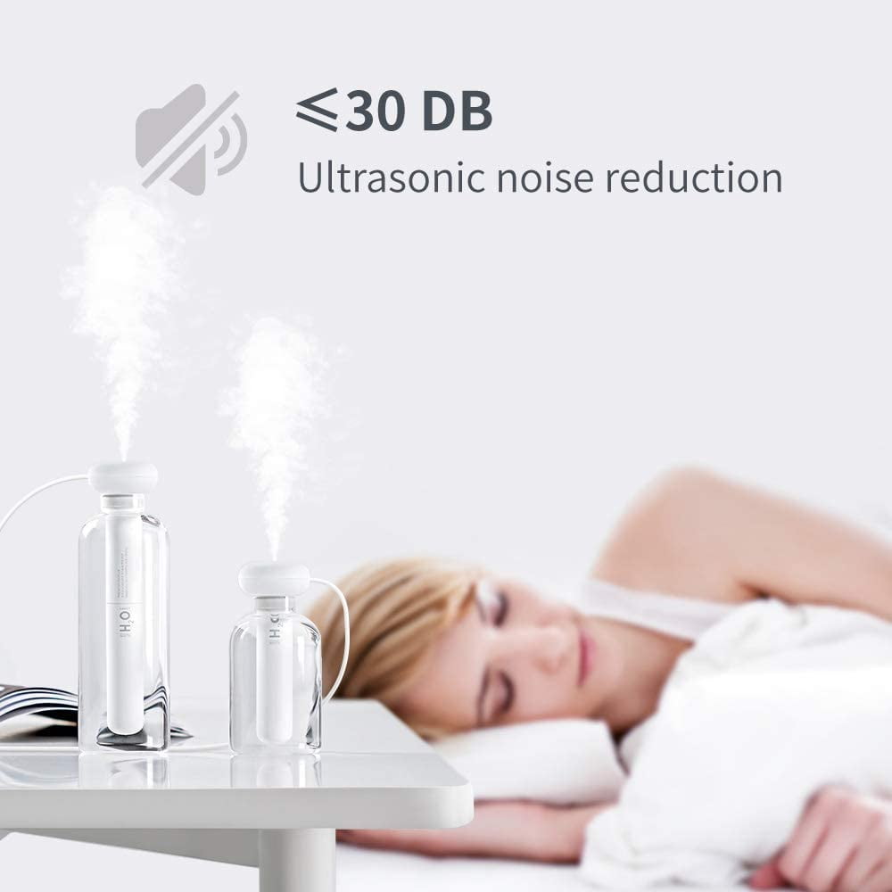 RAPOBRIX Mini Personal Humidifier for Car/Bedroom - Portable Ultrasonic Cool Mist Quiet with Container Diversity for Plant/Office