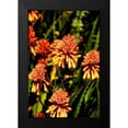 thumbnail image 2 of Johnson, George 11x14 Black Modern Framed Museum Art Print Titled - Yellow and Orange Flowers, 2 of 5