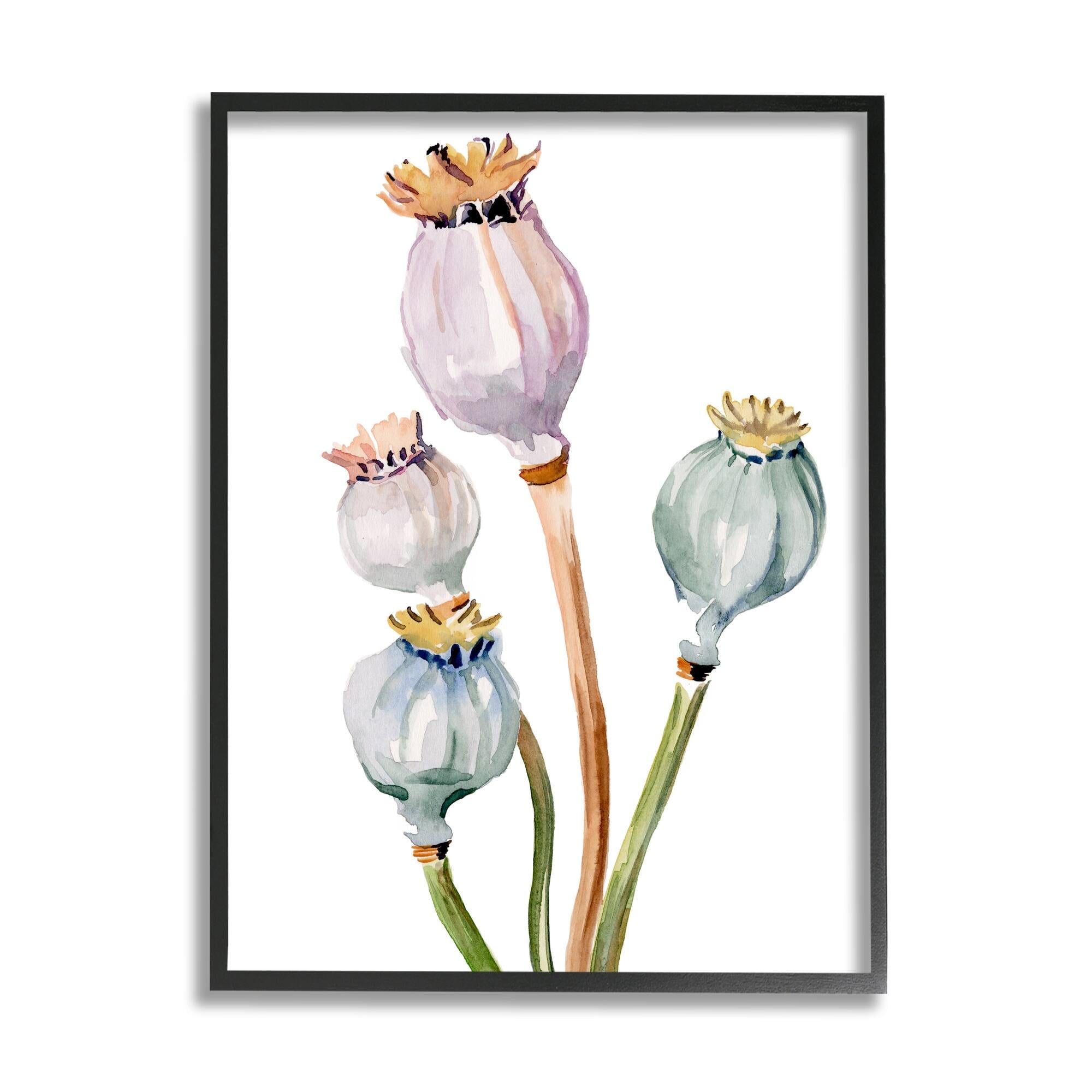Stupell Industries Pastel Poppy Pods Watercolor Botanical & Floral Painting White Framed Art Print Wall Art