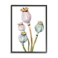 thumbnail image 2 of Stupell Industries Pastel Poppy Pods Watercolor Botanical & Floral Painting Gray Framed Art Print Wall Art, 2 of 5