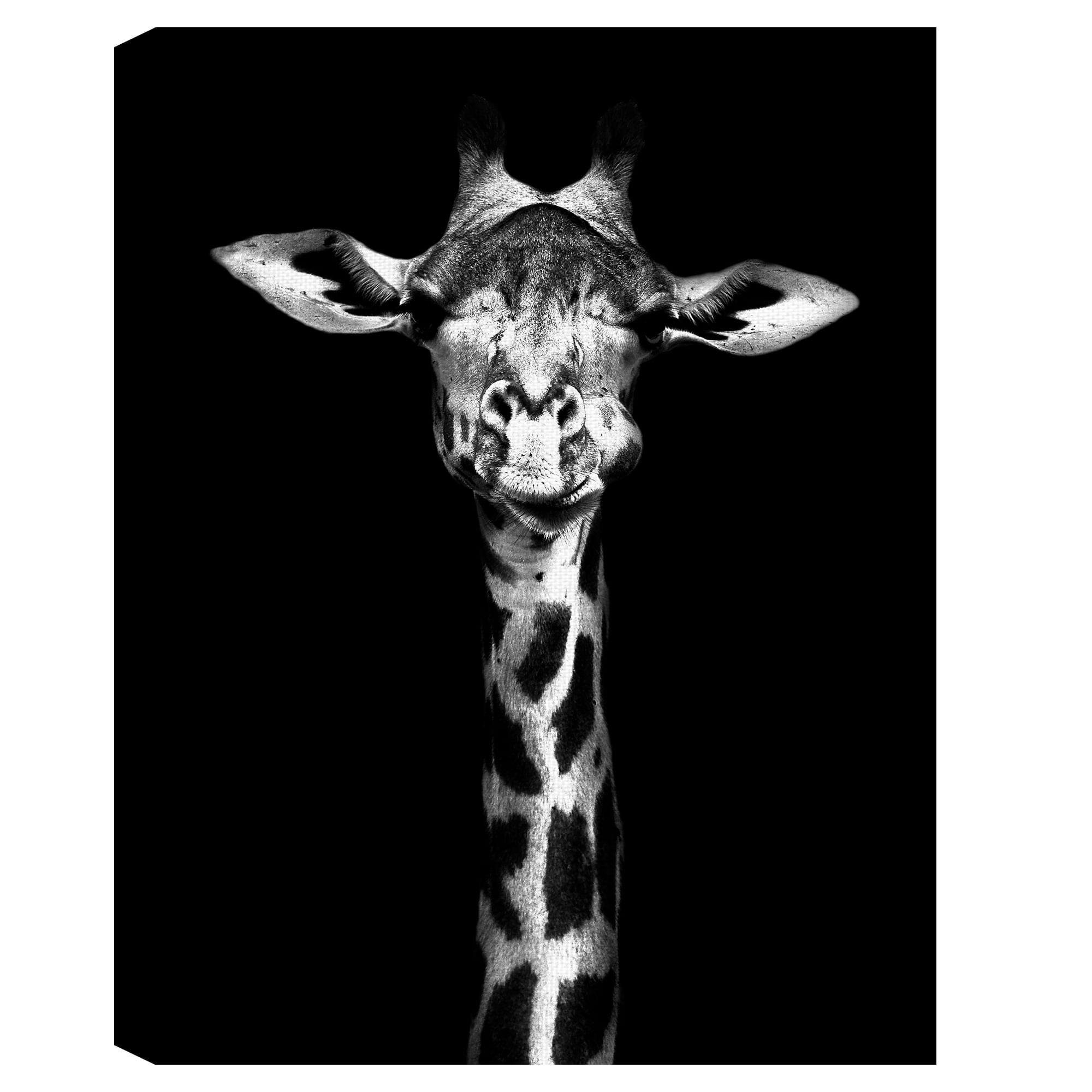 Masterpiece Art Gallery Standing Tall Giraffe by Belle Maison Canvas Art Print 30" x 40"
