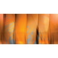 thumbnail image 3 of PI Studio 24x14 Black Modern Framed Museum Art Print Titled - Tangerine on Grey, 3 of 5