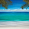 thumbnail image 3 of Bailey, Jennifer 15x15 Black Modern Framed Museum Art Print Titled - Paradise I, 3 of 5