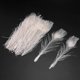 thumbnail image 1 of 50 piezas/plumas de pavo real blancas en el ojo, recorte de 10 a 12 pulgadas LingWen 8390614145276, 1 of 1