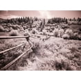 thumbnail image 2 of Eggers, Terry 18x15 White Modern Wood Framed Museum Art Print Titled - USA-Utah-Infrared of the Logan Pass area with long rail fence, 2 of 4