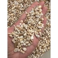 thumbnail image 5 of WHOLESALE Natural Semi Tumbled White Bamboo Coral Gemstone Chips ( 2 oz / 0.125 lb ), 5 of 8