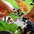 thumbnail image 4 of 1000pcs Pooping Puppies Puzzle Funny Stress Relief Puzzle For Dog Animal Lovers, 4 of 5
