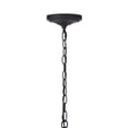 thumbnail image 6 of Craftmade Lighting - Voyage - 1 Light Outdoor Pendant In Transitional Style-19, 6 of 7