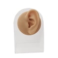 thumbnail image 2 of Youkk Silicone Ear Model Simulation Tool Ear Display Three-Dimensional for Teaching Instruction Left Ear/Rack, 2 of 6
