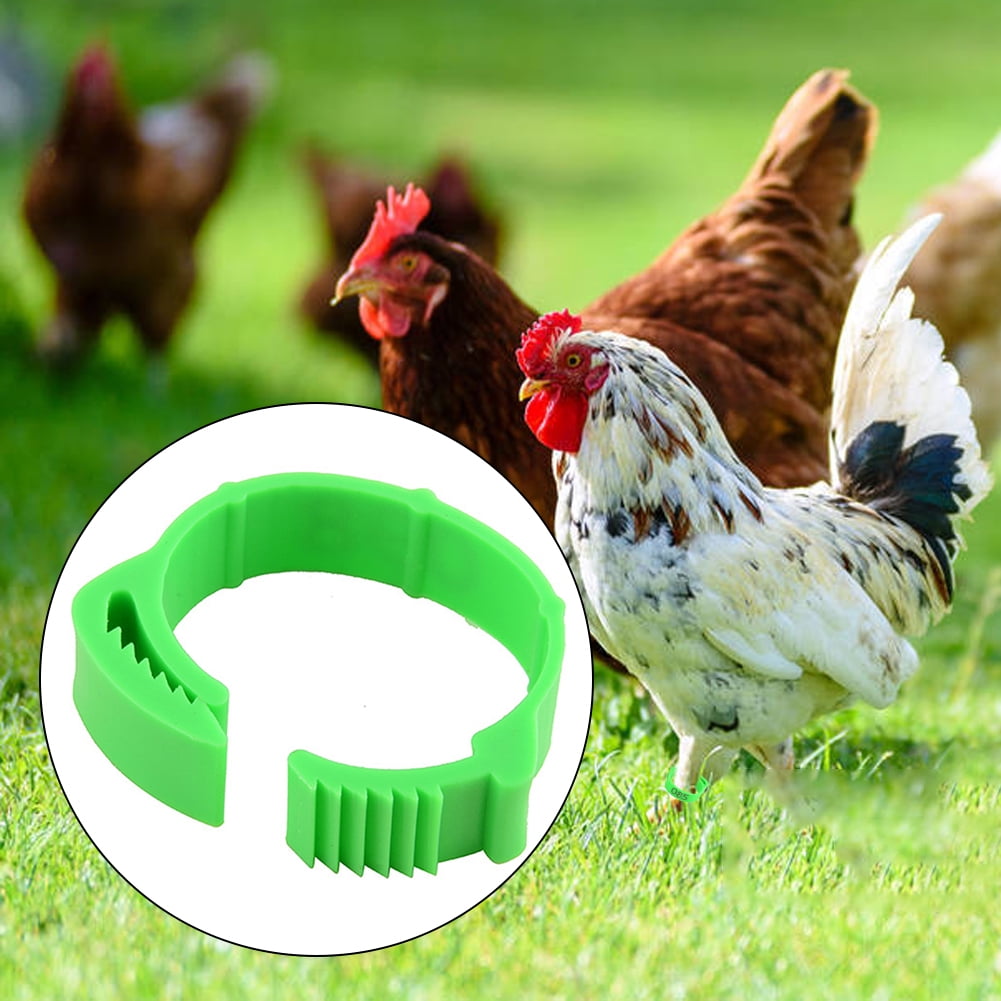 Unbrand 100PCS Chicken Leg Ring Adjustable Size Poultry Leg Buckle Digital Label Buckle Ring