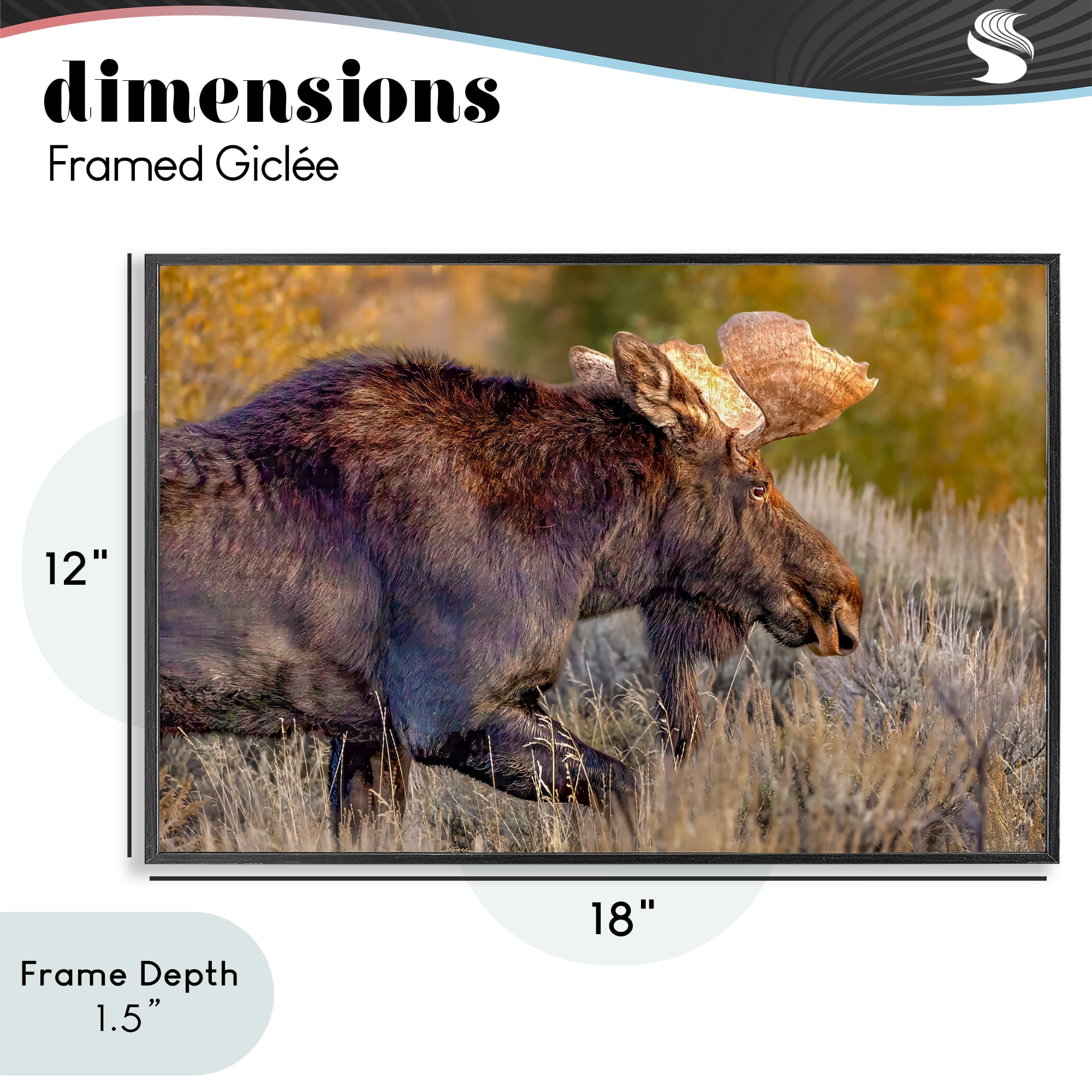 Stupell Industries Bull Moose At Dusk Black Framed Giclee Art, design by Shelley Carlisle