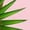 Pink Type A, variant on Baby Unisex Fruit Coconut Design Rompers Newborn Baby Bodysuits Infant Jumpsuits Kids Cotton Graphic One-Piece Outfits