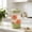 Green, variant on Plastic Striped Water Pitcher, Clear, Cold Tea and Milk Container with Lid, Refrigerator Friendly