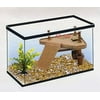 Image thumbnail_image