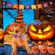 thumbnail image 4 of Collar para perro y gato de Halloween, 2 uds., con lazo, ajustable, cómodo, para perro de Halloween, 4 of 5