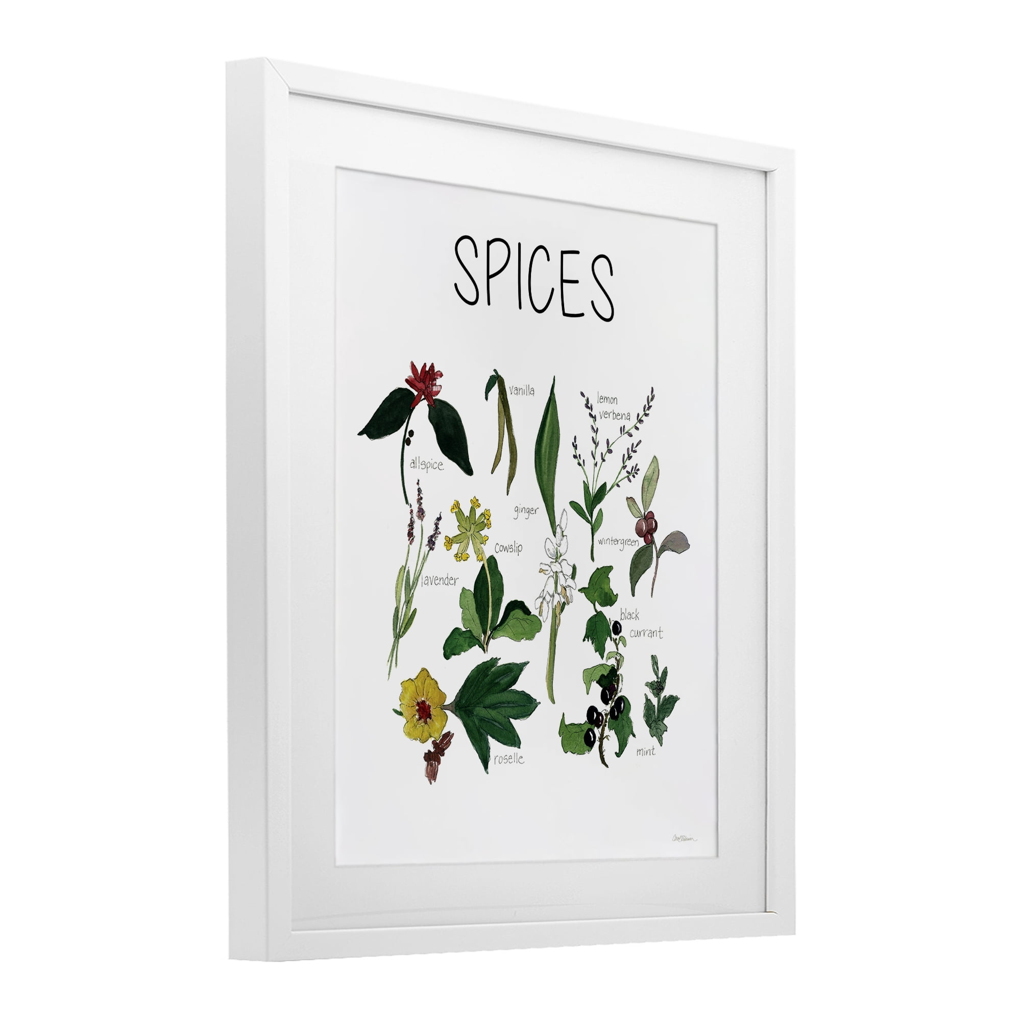 Stupell Industries Spices Identification Chart White Framed Print Under Glass, design by Carol Robinson