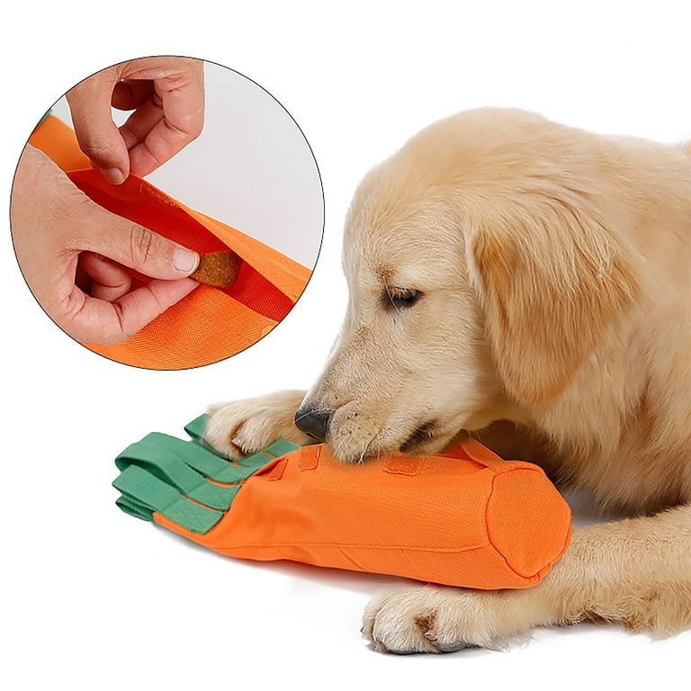 Pawz & Play Easter Carrot Dog Toy Squeaky Play Carrot Puppy Toy