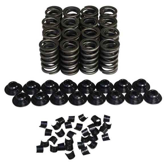 Howards Racing Components 98214-K11 1.25 in. OD Single with Damper Valve Spring Kit