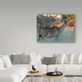 thumbnail image 3 of Trademark Fine Art 'Kudu Centered' Canvas Art by J.D. Mcfarlan, 3 of 3