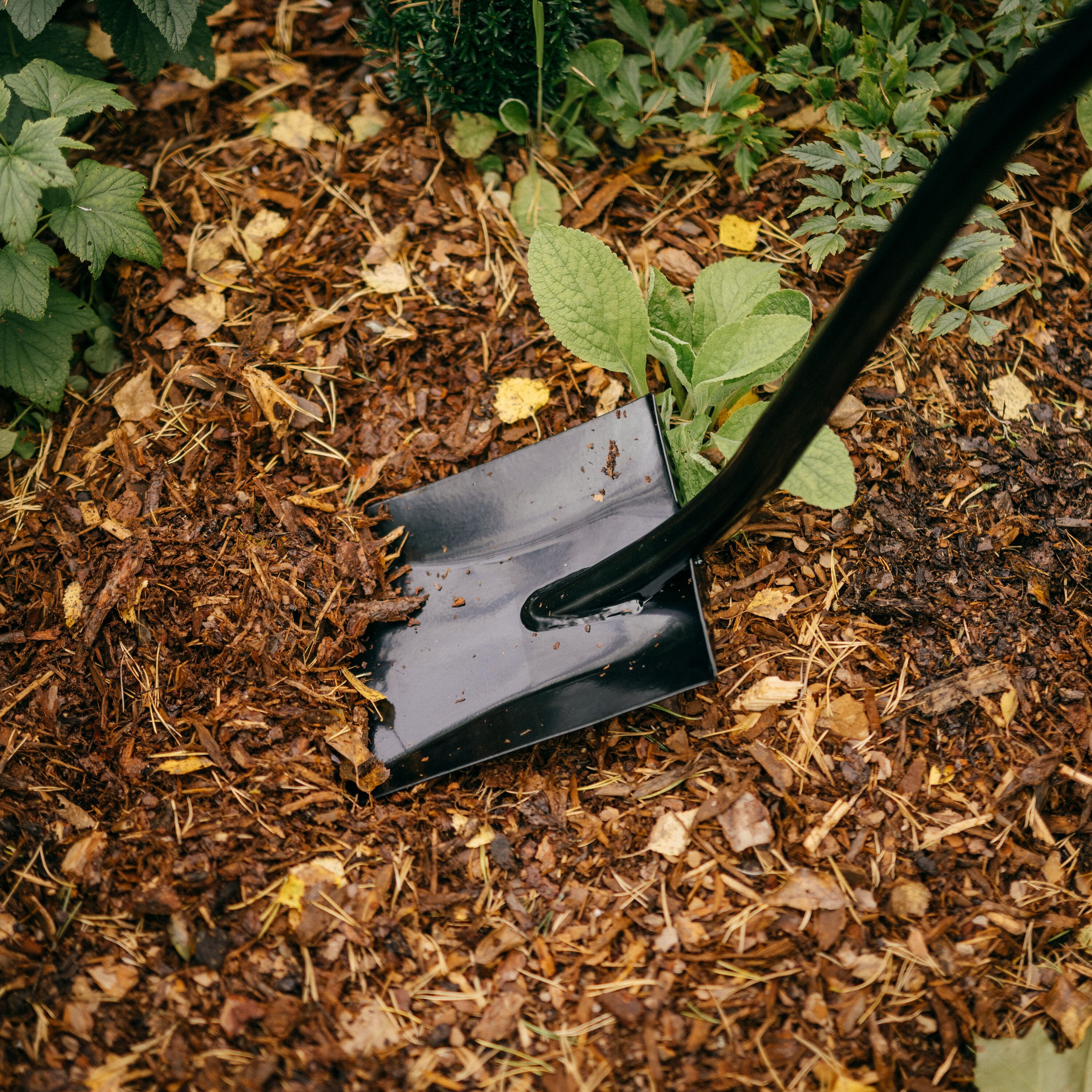 Fiskars All-Steel Transfer Shovel, 57" Length, Black