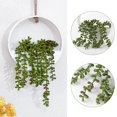 thumbnail image 3 of Plantas suculentas colgantes artificiales CEWOR con cordón, 2 unidades, blancas, 3 of 7