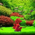 thumbnail image 2 of 4-12pcs Small Coral Reef Decor for Home Coral Reef Beach Centerpiece Room Table Decorations Ocean Nautical Themed Party Decor for Bathroom 2 Inch Statue, 2 of 5