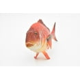 thumbnail image 3 of Red Snapper, Toy, Fish, Onaga, Rockfish, Very Realistic Rubber Figure, Model, Educational, Animal, Hand Painted Figurines, 7" CH036 BB75, 3 of 7