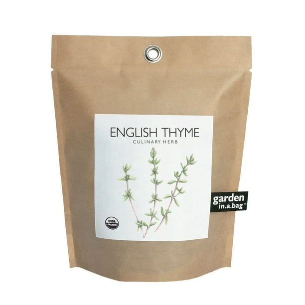 potting shed creations garden-in-a-bag thyme, thyme, 3.5