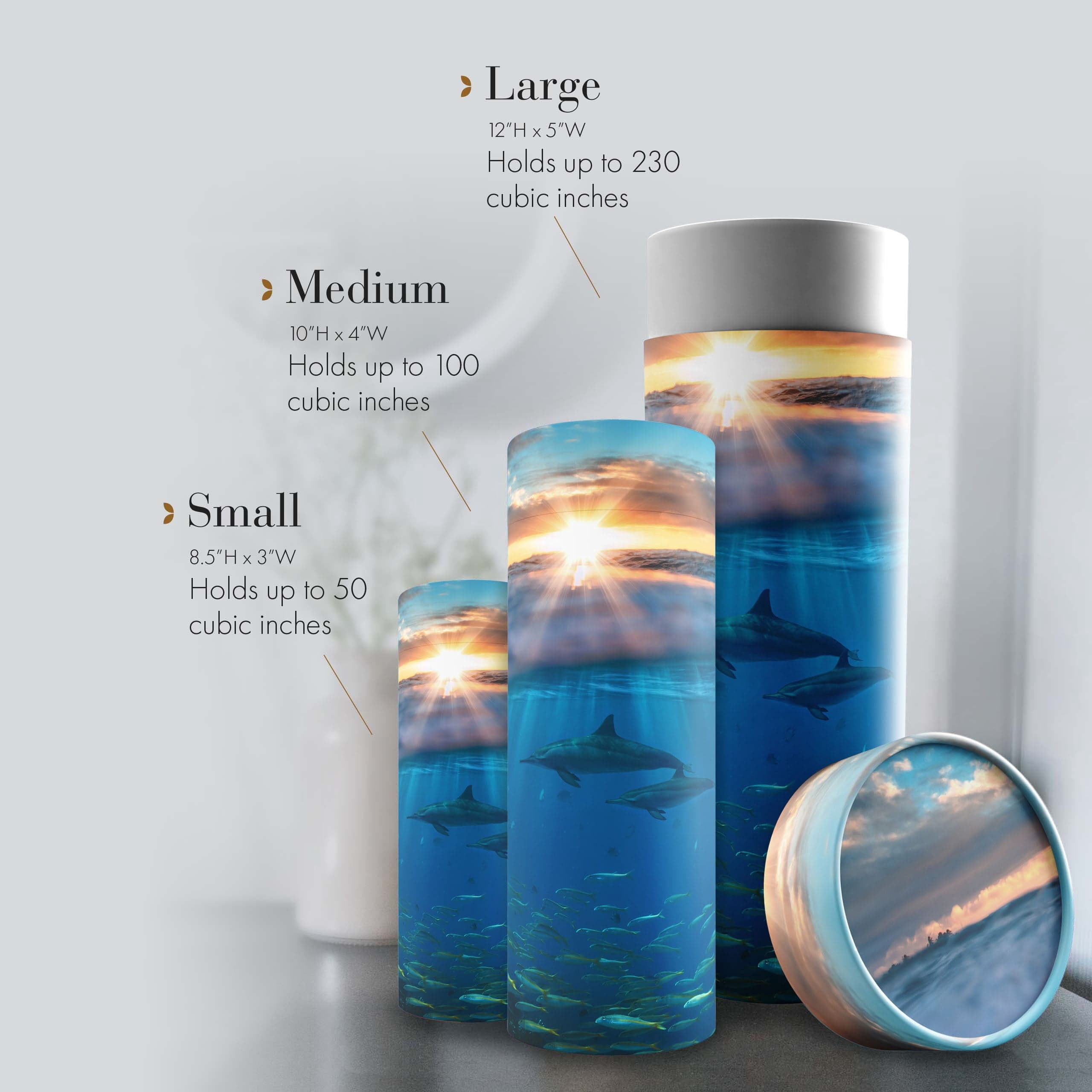 Divine Dolphins Biodegradable & Eco Friendly Burial or Scattering Urn / Tube