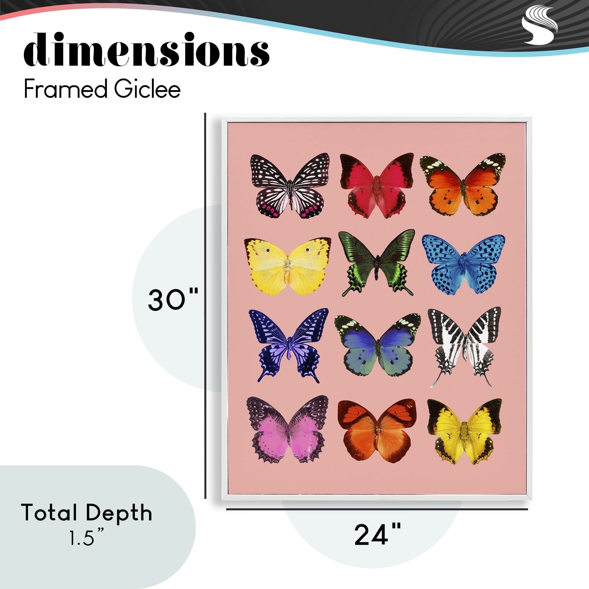 Butterfly Species on Pink White Framed Giclee Art, design by LISH Creative