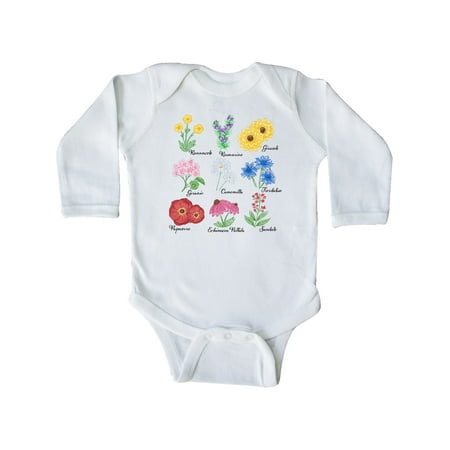 

Inktastic Italian Wild Flower Chart Gift Baby Boy or Baby Girl Long Sleeve Bodysuit