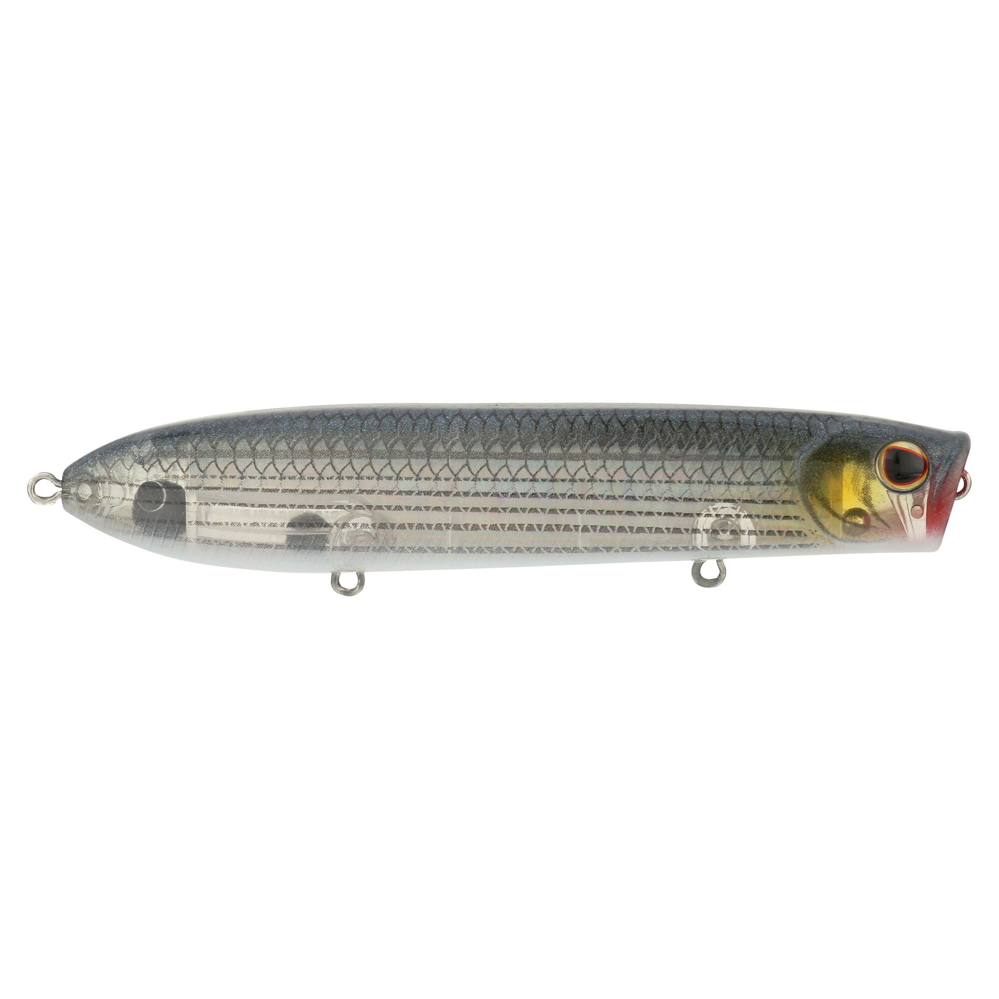 Berkley Cane Walker Saltwater, 4.3 in, Topwater Baits, Mullet (1 Count)